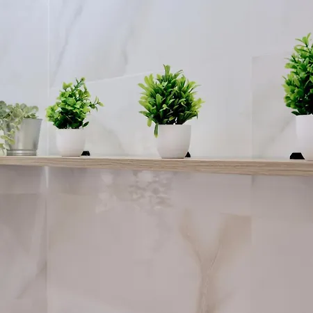 Terrazas De La Provi, Mejores Vistas ヒホン